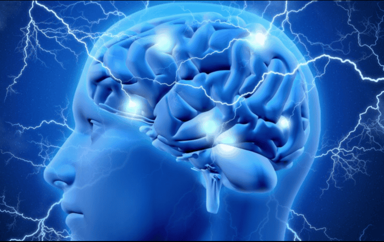 El sistema nervioso funciona a través de células llamadas neuronas que envían señales y mensaje por todo el cuerpo. ESPECIAL/FREEPIK