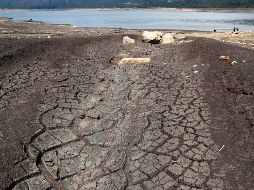 Debido a la escasez de lluvias, agravada por el fenómeno de El Niño, los embalses del sistema Chingaza, principal proveedor de agua de Bogotá, están en niveles críticos. EFE/C. Ortega.
