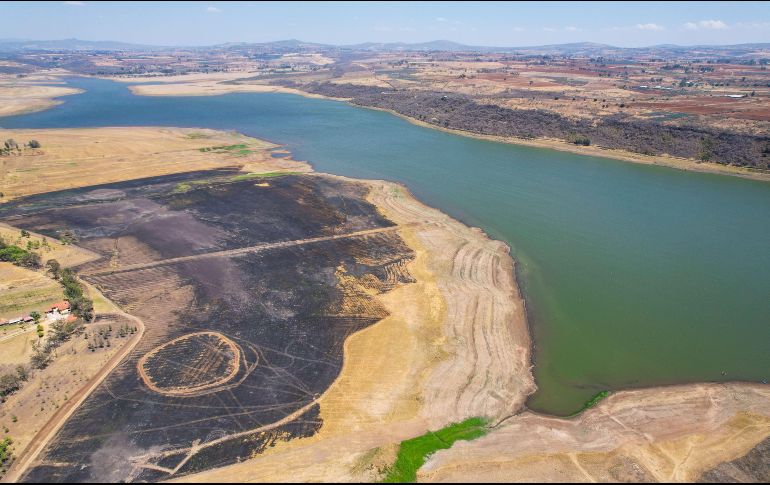 Las altas temperaturas han consumido parte del cuerpo de agua de la presa Calderón, que abastece principalmente a Guadalajara y Tonalá. EL INFORMADOR/A. Navarro
