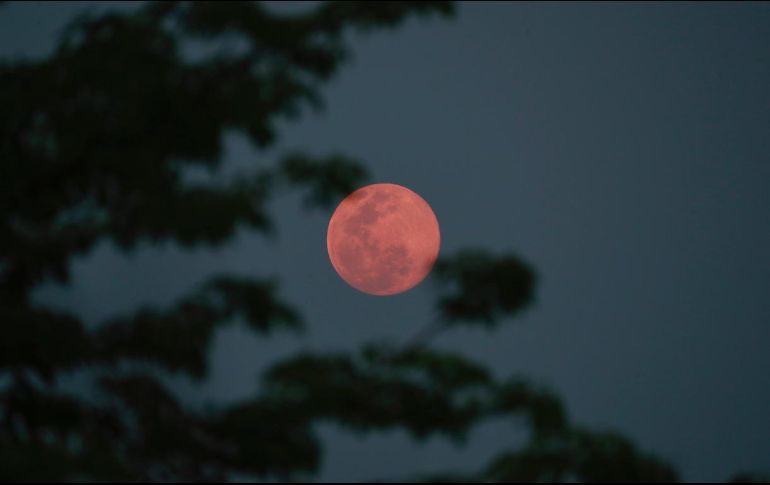 El término Luna Rosa proviene de tradiciones de los nativos americanos, quienes relacionaban esta fase lunar con la época del florecimiento del musgo rosa o Phlox subulata. AP / ARCHIVO