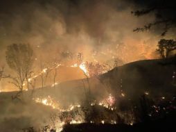 Es el segundo incendio forestal que ocurre dentro del ANP del Bosque de La Primavera en esta semana. ESPECIAL/ Protección Civil