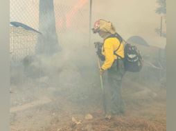 TWITTER / @ReporteForestal