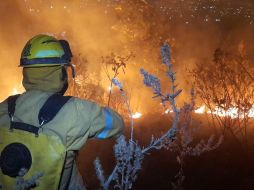 El incendio afectó una hectárea de pastizal y hojarasca, ya que fue controlado de forma rápida. ESPECIAL/ Protección Civil Zapopan