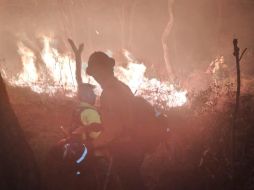 La Primavera es un ecosistema frágil y amenazado por la mancha urbana y voraz de Guadalajara. ESPECIAL