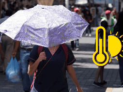 Se espera una temperatura máxima de 29 °C a 31 °C, y una temperatura mínima de 11 a 13 °C. EL INFORMADOR/ ARCHIVO