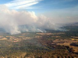 La Primavera, el pulmón de Guadalajara en eterno riesgo