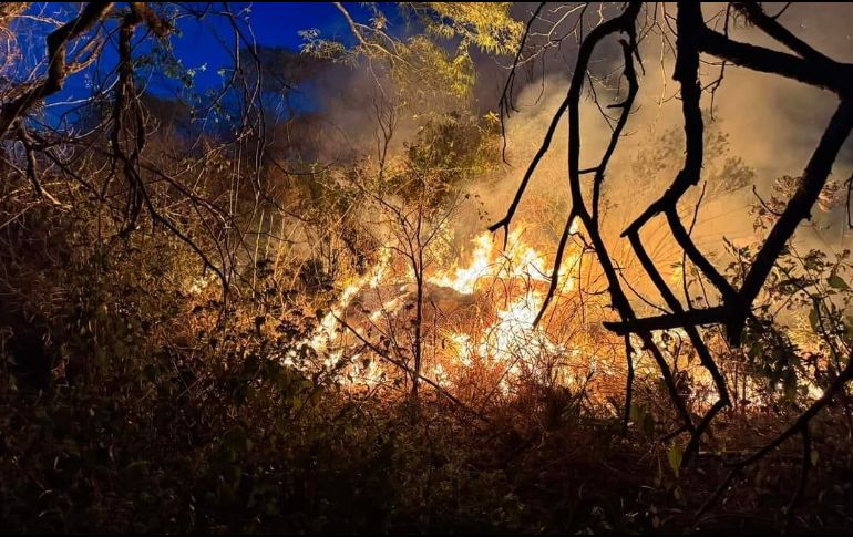 Dicho siniestro comenzó aproximadamente a las 19:00 horas ayer miércoles, en un predio conocido como Mesa del Carpintero, mismo que fue extinguido a las 00:40 horas de este jueves. ESPECIAL / PROTECCIÓN CIVIL DE TALA