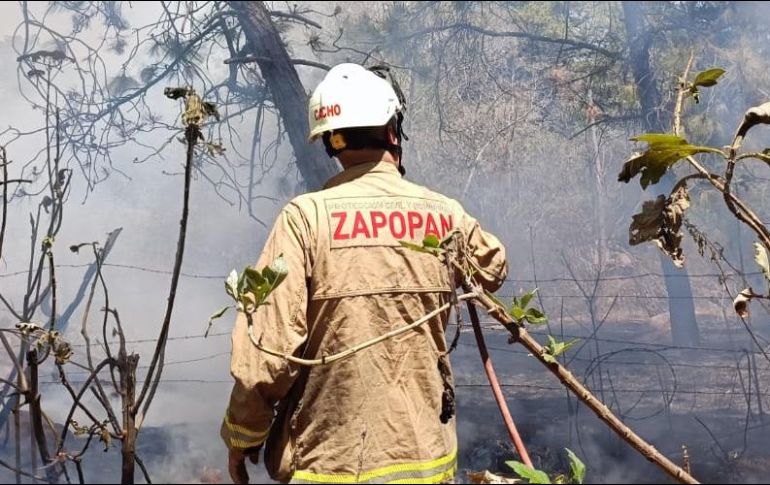 Elementos de la Coordinación Municipal de Protección Civil y Bomberos de Zapopan trabajan para extinguirlo. X / @UMPCyBZ