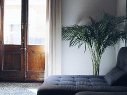 ESPECIAL / Foto de Matthias Koch en Unsplash