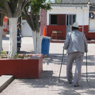 TODO sobre neuropatía periférica, caracterizada por dolor y ardor en pies