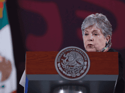 La canciller Alicia Bárcena dijo: 