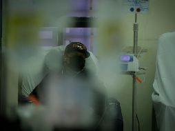 La Leucemia Mieloide Aguda (LMA) es un tipo de cáncer que comienza en la médula ósea y se propaga a la sangre. EL INFORMADOR / ARCHIVO