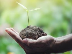 Todos podemos realizar pequeñas acciones que favorezcan al planeta Tierra. ESPECIAL/Foto de 12831137 en Pixabay