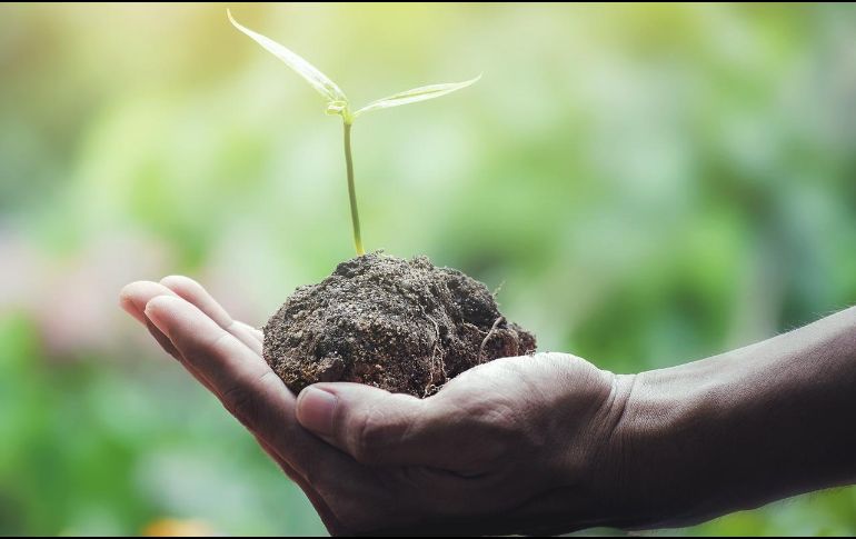 Todos podemos realizar pequeñas acciones que favorezcan al planeta Tierra. ESPECIAL/Foto de 12831137 en Pixabay