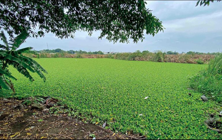 Estas frases te ayudarán a comenzar la semana con gran motivación. SUN/ARCHIVO