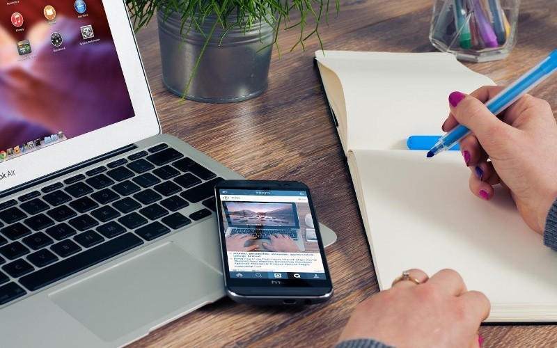 ESPECIAL/Foto de Firmbee en Pixabay