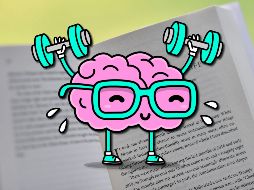 Quizás la falla más grande que tiene el cerebro que envejece es la pérdida de conexiones entre neuronas. AFP / ARCHIVO