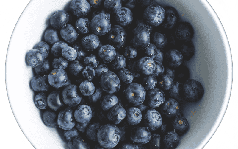 &nbsp;ESPECIAL/ Foto de Vicki Hamilton en Pixabay