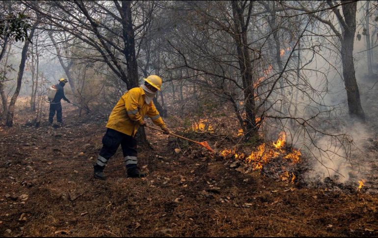 Las autoridades también buscan capacitar a integrantes de Protección Civil, bomberos y núcleos agrarios en el combate de estos siniestros. SUN/ARCHIVO