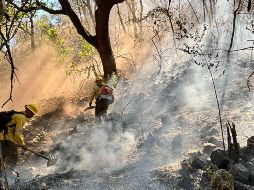 La Semadet emitió una serie de recomendaciones. CORTESÍA