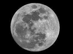 Nuestro satélite natural se encontrará en su punto más cercano a la Tierra. UNSPLASH / Mike Petrucci