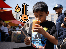 Estas son las mejores opciones dentro de la ciudad para refrescarte con un delicioso tejuino. EL INFORMADOR / ARCHIVO