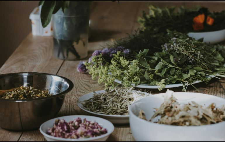 El consumo prolongado de una misma planta medicinal tampoco es aconsejable. UNSPLASH / Annie Spratt