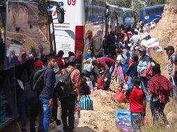 Senadores exponen Ley de Empleo Temporal para reducir impacto económico y social. SUN/ARCHIVO