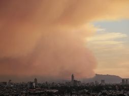 Es importante cuidar las actividades que se realizan cerca de zonas forestales para evitar que se origine un incendio. Esto puede salvar el medio ambiente y sobre todo, vidas. EL INFORMADOR / ARCHIVO