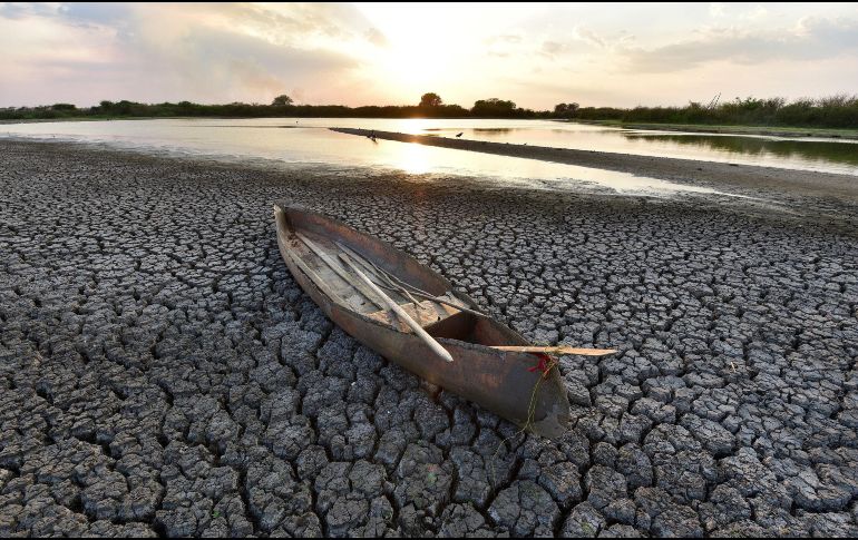 De acuerdo con la Conagua hay algunos estados que enfrenta una severa sequía debido a que reciben muy pocas lluvias. EFE/ ARCHIVO.