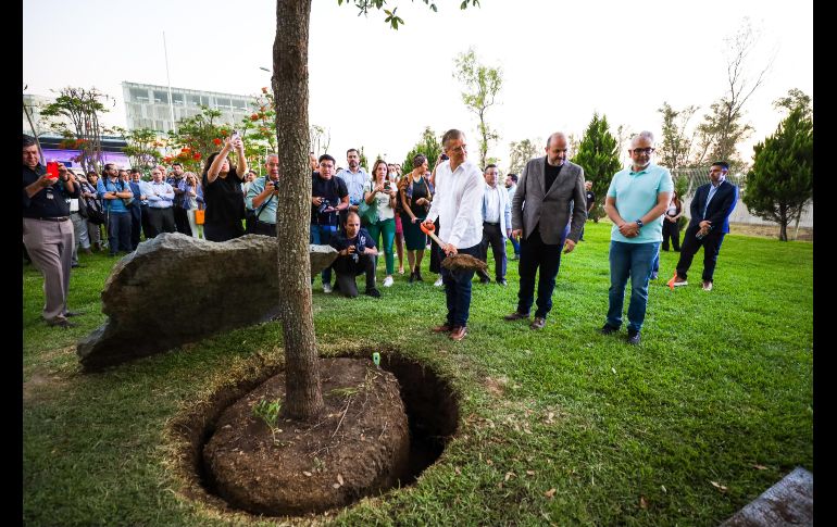 La familia y amistades de Raúl Padilla, echaron una pala de tierra al ejemplar como parte del protocolo de la plantación del mismo. EL INFORMADOR/A. NAVARRO