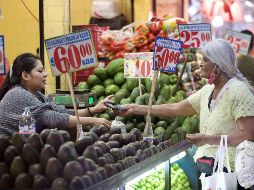 Este vegetal tiene propiedades antioxidantes, debido a su contenido de flavonoides y que aporta a nuestro cuerpo fibra dietética. SUN / ARCHIVO