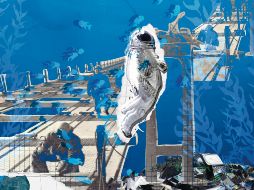 Una moratoria de tres décadas es la única alternativa para poder proteger ese patrimonio común compartido. CORTESÍA: Bárbara González