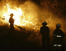 En total desde el primero de enero hasta el corte del 25 de abril se habían incendiado 23 mil 413 hectáreas en 430 siniestros. EL INFORMADOR / ARCHIVO