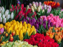 Un ramo de flores es una forma clásica pero ideal para expresarle a mamá tus sentimientos por ella. Unsplash