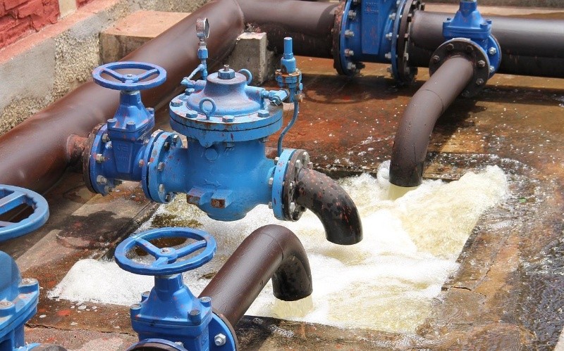 ESPECIAL/Foto de  Fernando Augusto en Pixabay