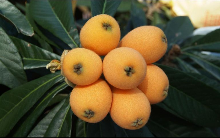 Las frutas y verduras lideran el ranking de los alimentos más recomendados para el cuidado de la salud. Pixabay.