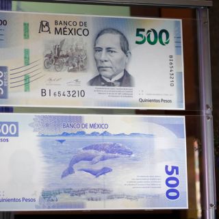 El Billete de 500 pesos, el favorito de los falsificadores