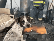 Pese a lo aparatoso del incendio, no se registraron víctimas ni lesionados. ESPECIAL.