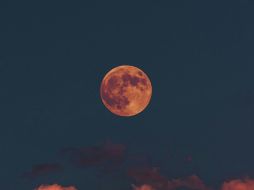 Entre las curiosidades, te compartimos la razón de porqué la luna llena de mayo es conocida como la “luna de flores”. UNSPLASH/ Altınay Dinç