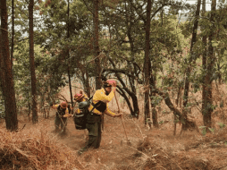 Hasta minutos antes de las 21:00 horas, el incendio era atendido por 173 bomberas y bomberos forestales. X/@ReporteForestal