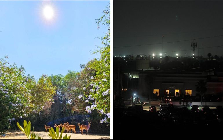 Las siete tormentas solares, que se produjeron en las últimas 48 horas, causaron fulguraciones, nubes de material solar (Eyecciones de Masa Coronal) y se propagan en dirección hacia la Tierra. SUN / ARCHIVO