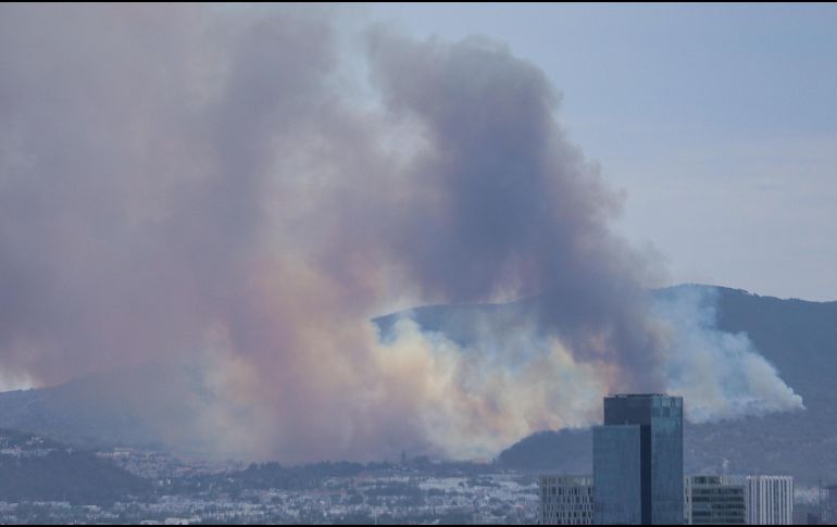 Los bosques de Jalisco son los más afectados por incendios a nivel nacional. EL INFORMADOR / ARCHIVO