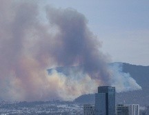 Los bosques de Jalisco son los más afectados por incendios a nivel nacional. EL INFORMADOR / ARCHIVO