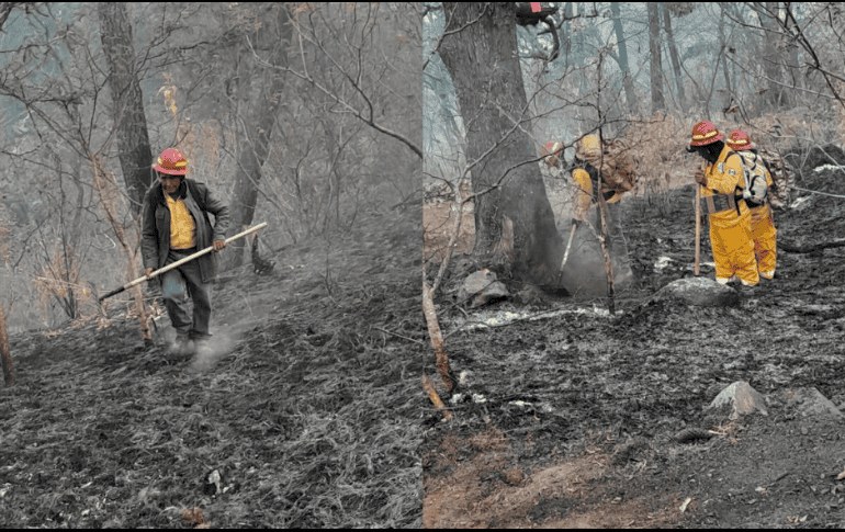 Este siniestro inició desde el jueves pasado alrededor de las 12:00 horas. ESPECIAL.