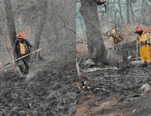 Este siniestro inició desde el jueves pasado alrededor de las 12:00 horas. ESPECIAL.