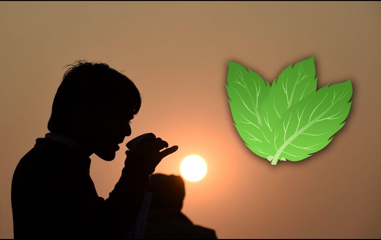 Puedes tener la certeza de que la abuela no se equivoca si te recomienda un té para aliviar algún malestar. AFP / ARCHIVO