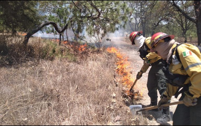 En el combate también están las brigadas del propio bosque y de la CFE, apoyadas con el helicóptero Witari de la dependencia estatal. ESPECIAL / X / @ReporteForestal