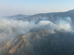 Se reportan dos incendios forestales dentro del estado. ESPECIAL/ Semadet