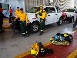 Los 264 bomberos de Zapopan trabajan arriesgando su vida para salvar cada arbolada que pueden, el patrimonio de los agricultores y ganaderos. EL INFORMADOR/A. NAVARRO